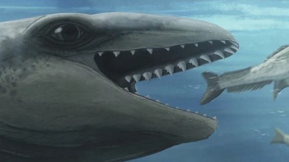 Scientists Discover 'Deceptively Cute' Prehistoric Species That Looked Like a Pokémon