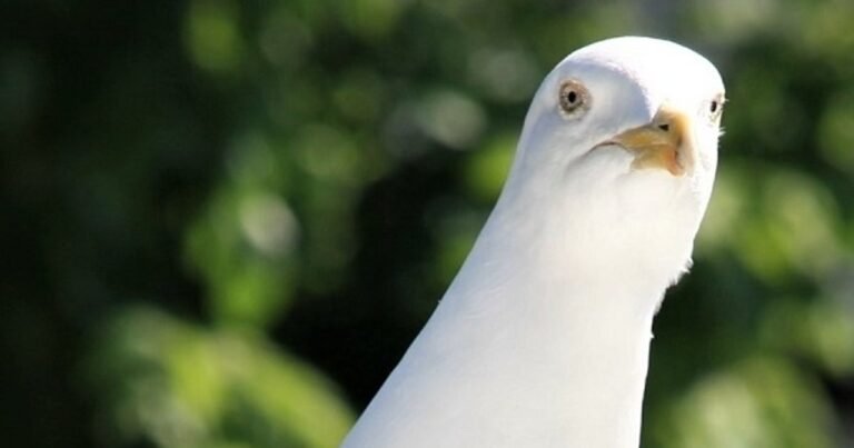 The video games we've been playing this week