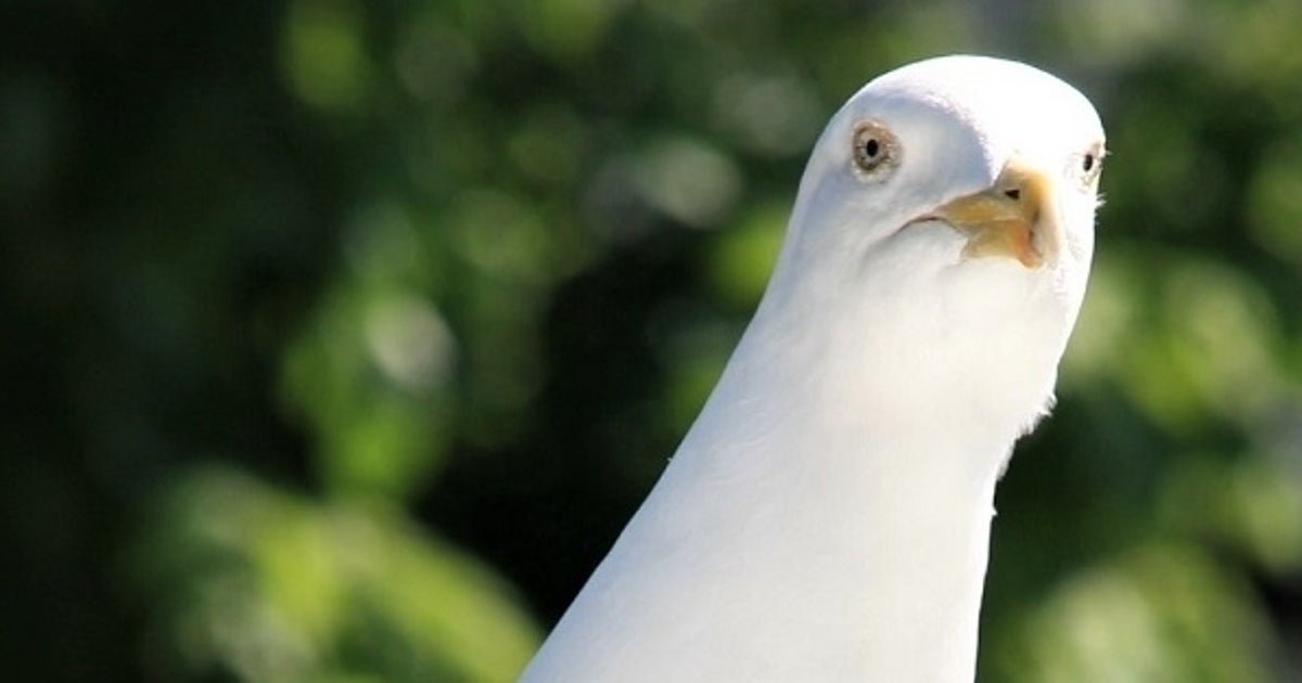 The video games we've been playing this week