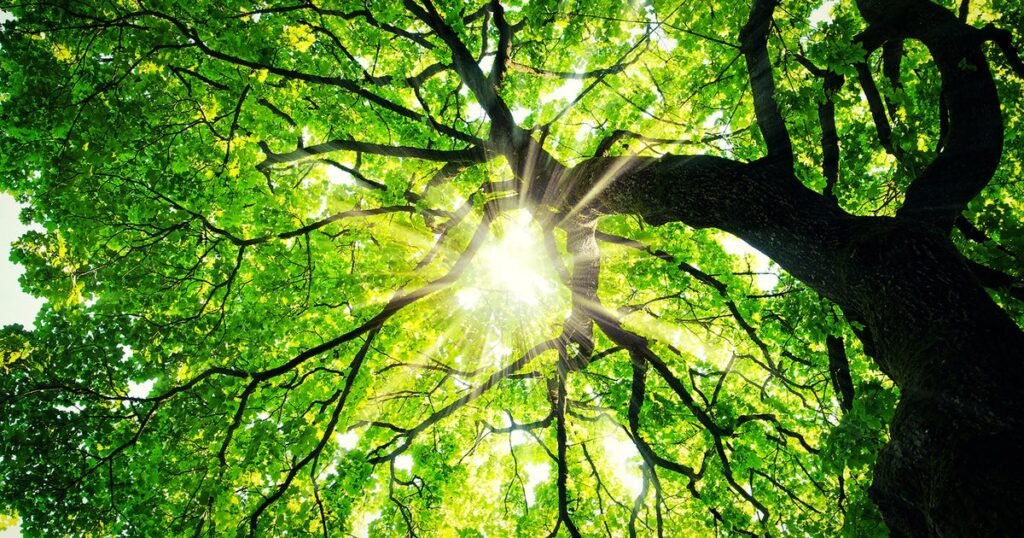 What have you been playing this week?