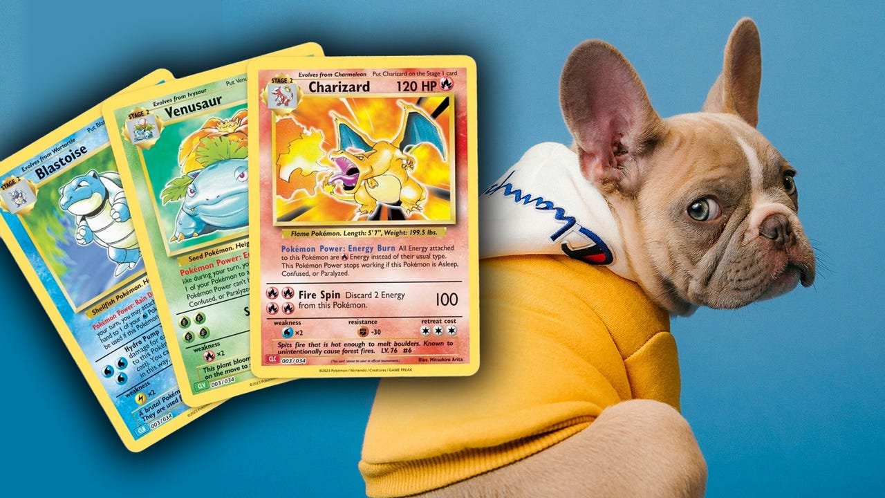 Pokemon TCG Players Urge Conventions to Take Action After Dog Breeders Offer Puppies in Exchange for Cards